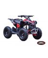 Lem Motor Quad Renegade 1000W 36V