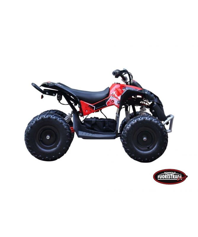 Lem Motor Quad Renegade 1000W 36V