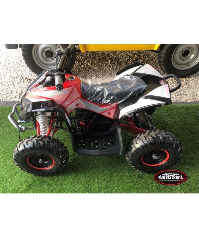 Lem Motor Quad Renegade 1000W 36V