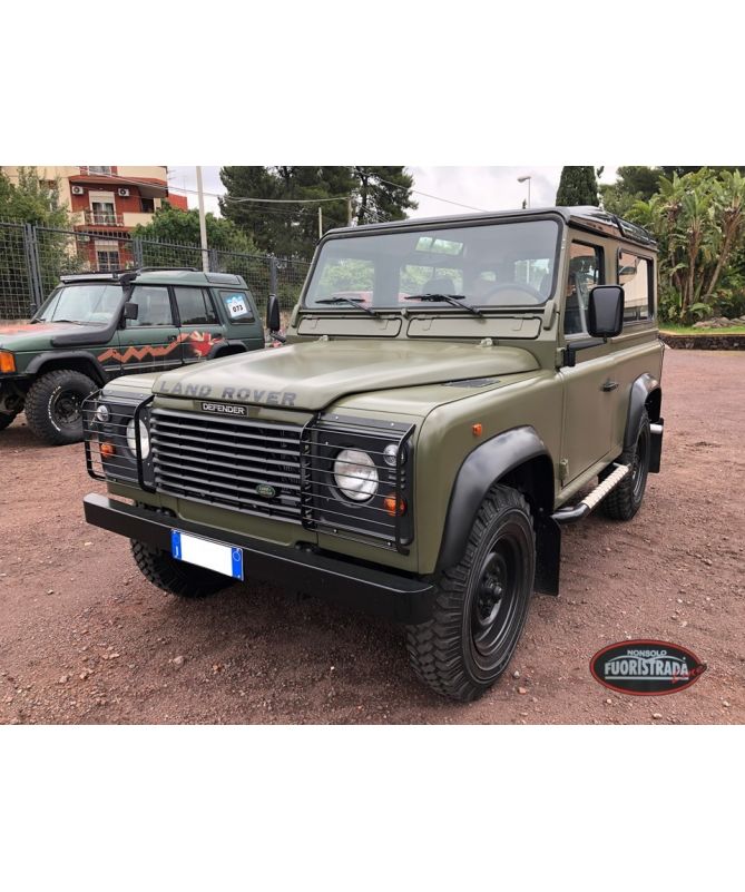 Coppia Griglie Parafari Anteriori Ribaltabili Land Rover Defender